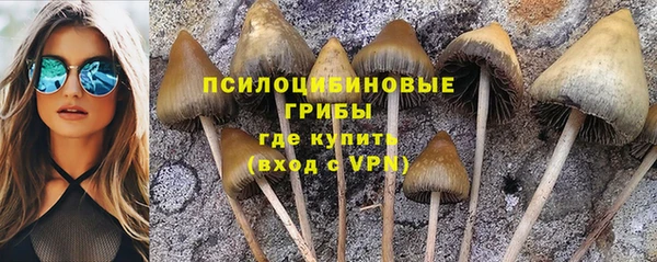 крисы Абинск